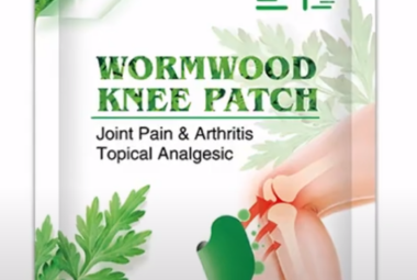 Wellnee Pain Relief Patches