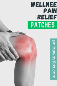 Wellnee Pain Relief Patches