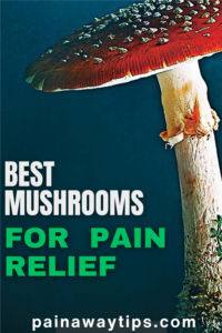 best mushrooms for pain relief