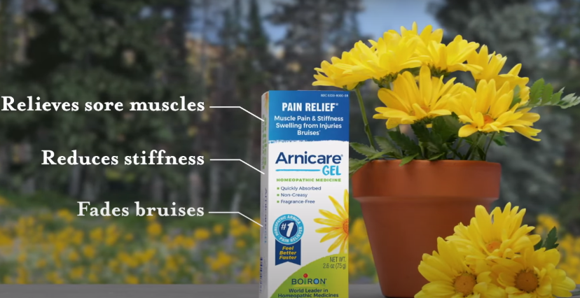 Arnica Pain Relief Gel