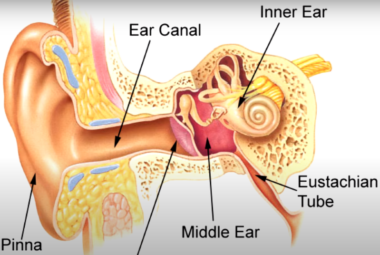 ear pain relief
