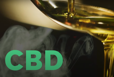 cbd cream pain relief