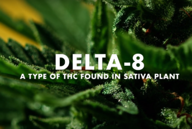 delta 8 pain relief