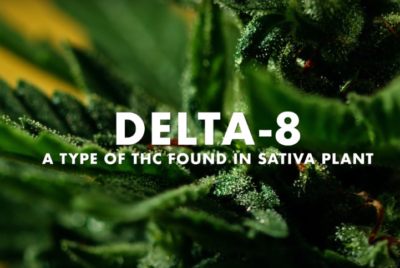 delta 8 pain relief