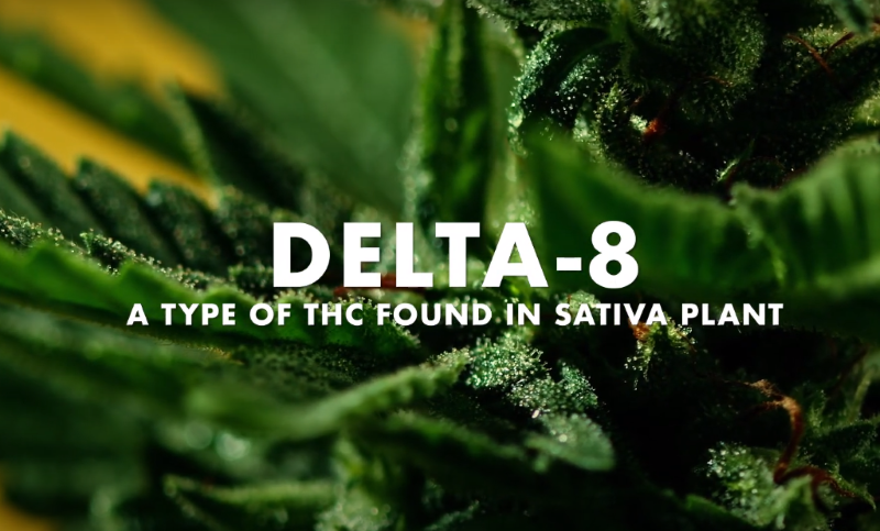 delta 8 pain relief